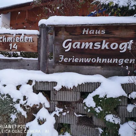 Haus Gamskogl *
