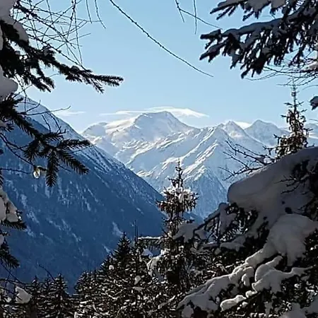 Daire Haus Gamskogl *