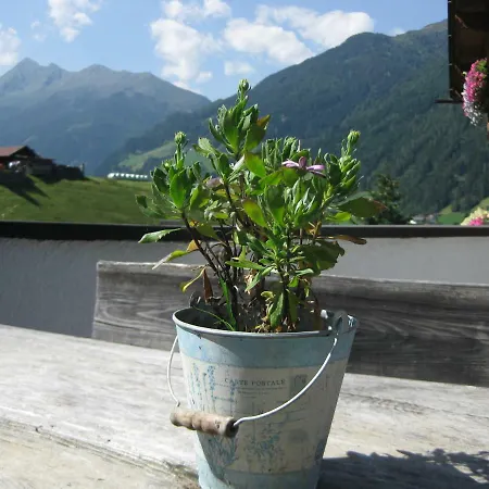 Haus Gamskogl Apartment *