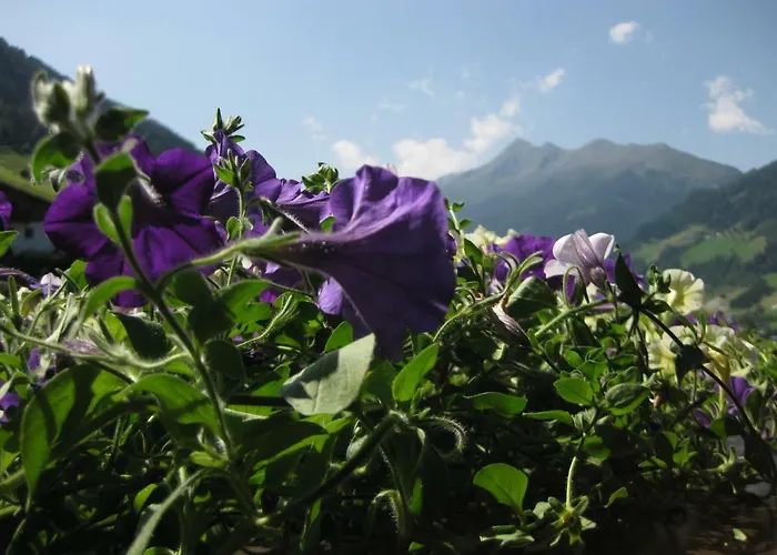 Haus Gamskogl شقة نيوستيف ام ستوبيتا