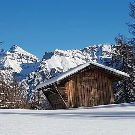 Haus Gamskogl Daire